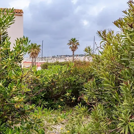 Solea #terrasse Cosy# Et Port 5 Min Agde